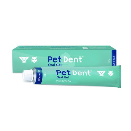 PET DENT ORAL GEL 60G (KYRON)